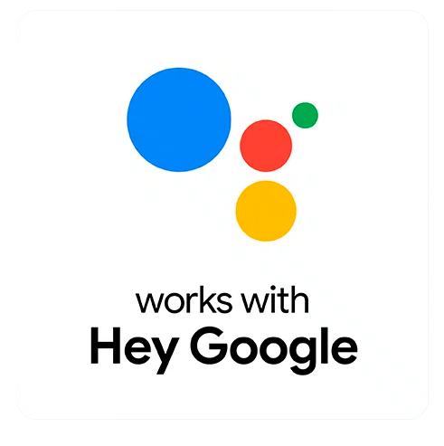 Hey google Google